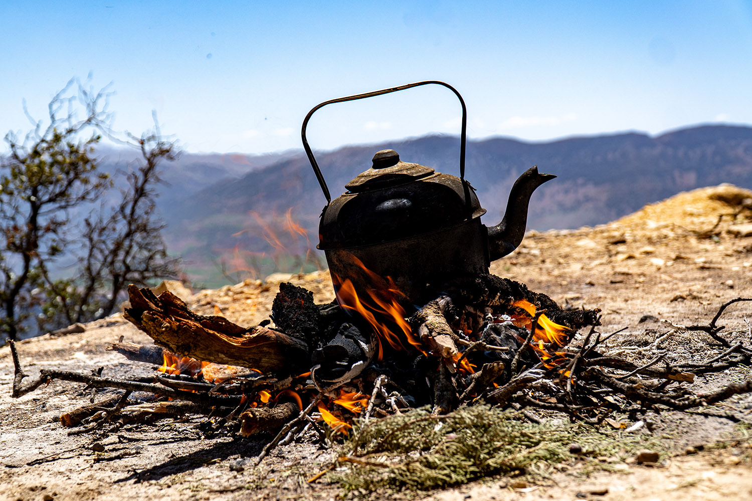 Inger Skoglund och Bengt Hassis