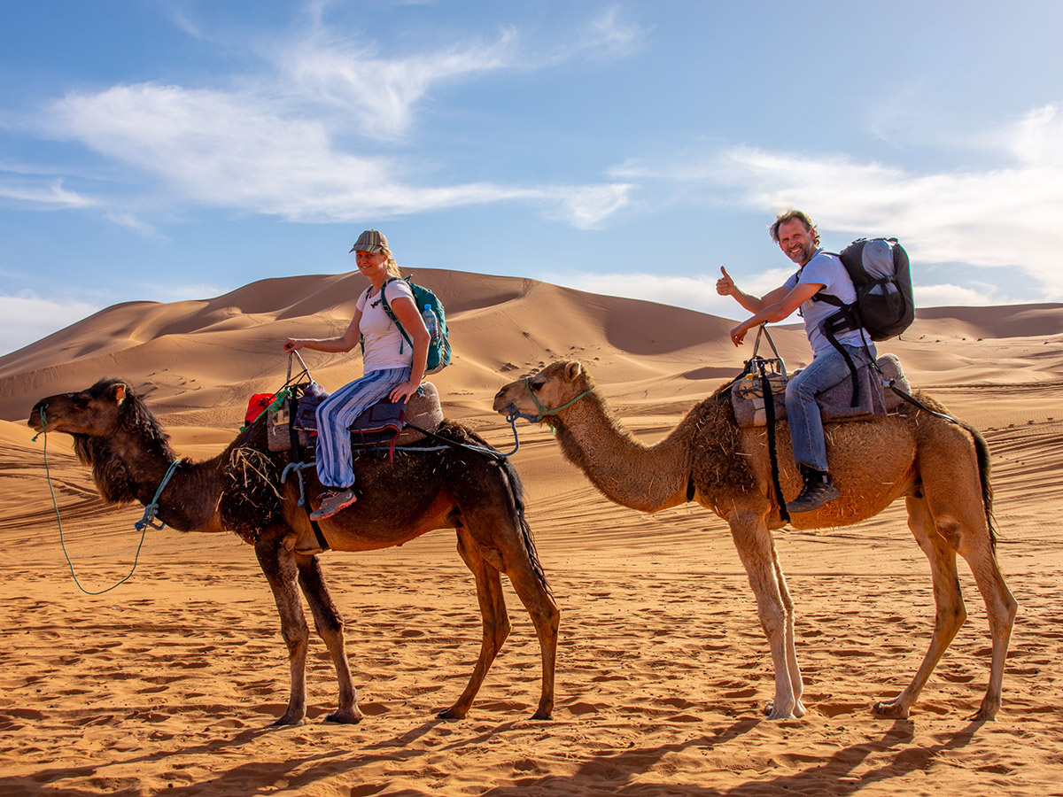 sahara-micke-marlene